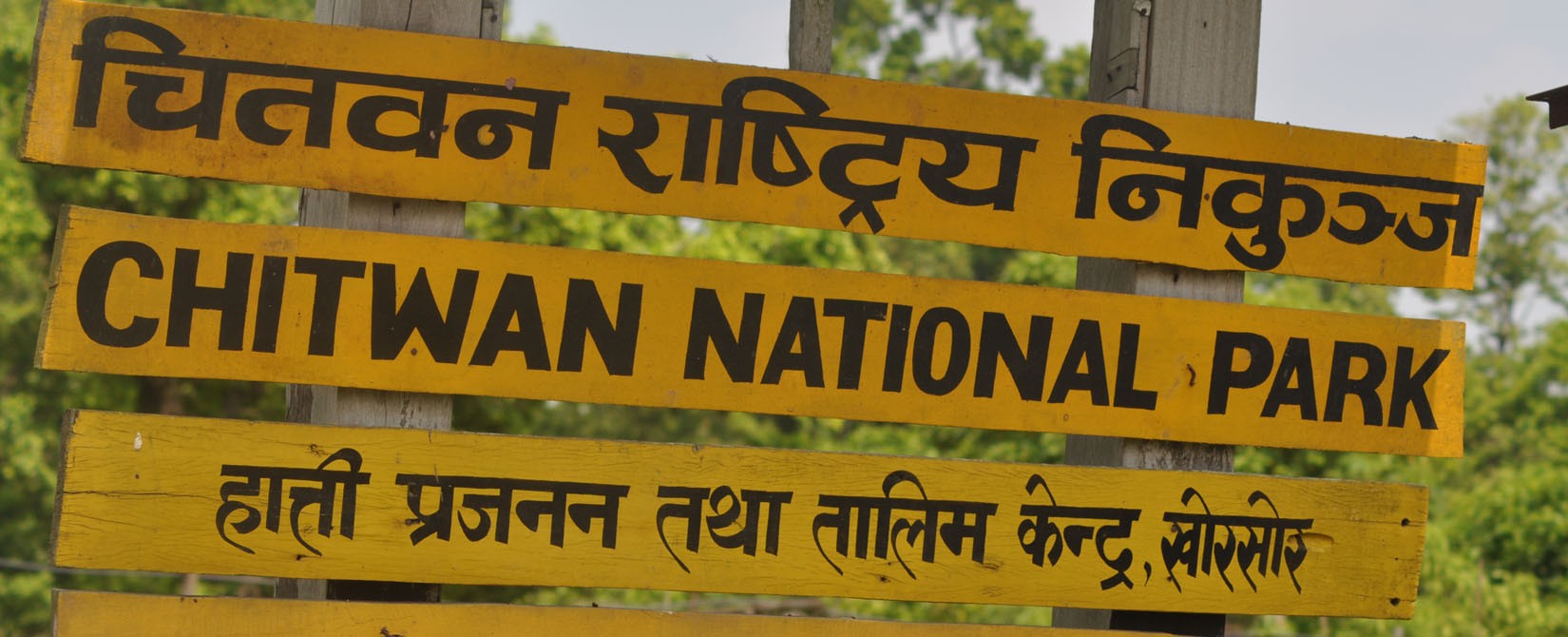 Chitwan Nation park 