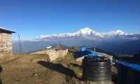 Mt: Dhaulagiri from Khopra Dada 