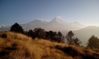 Mt: Fishtail view 