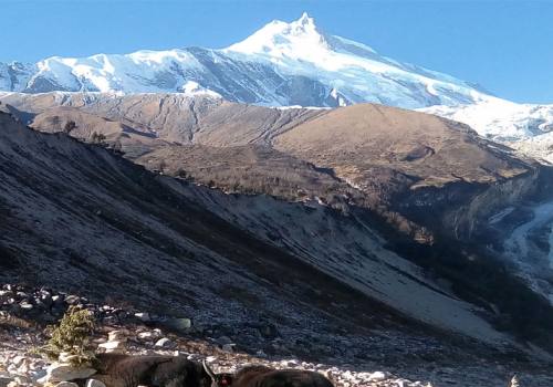 Manaslu Circuit Larke pass